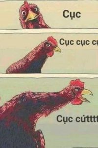 Lạc Tiêu Chuyển Trường