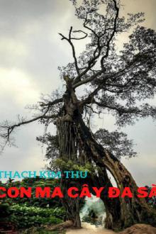 Con Ma Cây Đa Sà