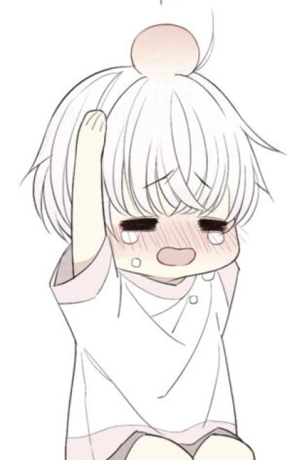 Cuộc Sống Hàng Ngày Cùng Stalker