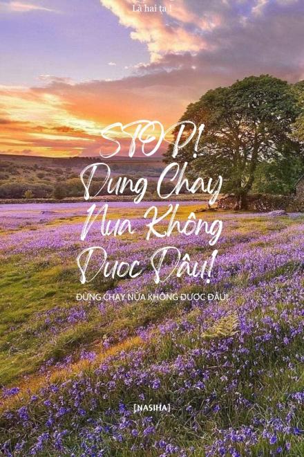 Đừng Chạy Nữa Không Được Đâu!