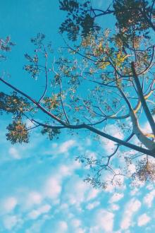 Dưới Bầu Trời Xanh Thẫm