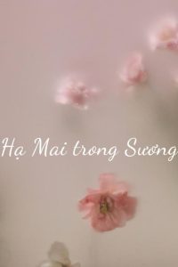 Hạ Mai Trong Sương