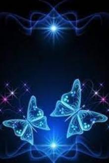 Hiệu Ứng Hồ Điệp