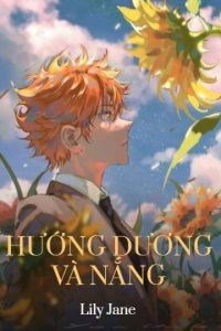 Hướng Dương Và Nắng