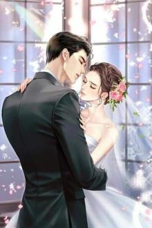 Kế Hoạch Dụ Dỗ Tổng Tài
