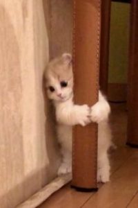 Mỗi Ngày Của Bé Đái Dầm