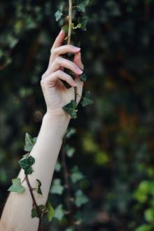 Nhật Kí Của Một Cá Muối