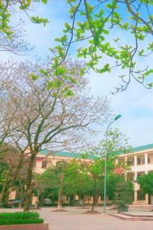 Những Năm Cấp 3 Của Tôi