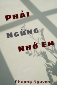 Phải Ngừng Nhớ Em
