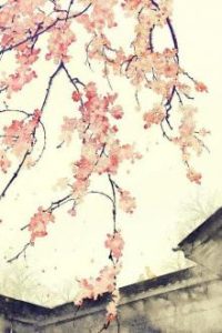 Quyền Mưu