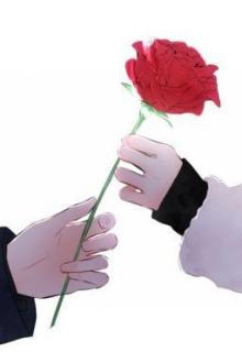 Tặng Chị Một Đoá Hoa