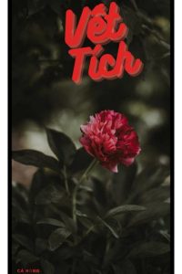 Vết Tích